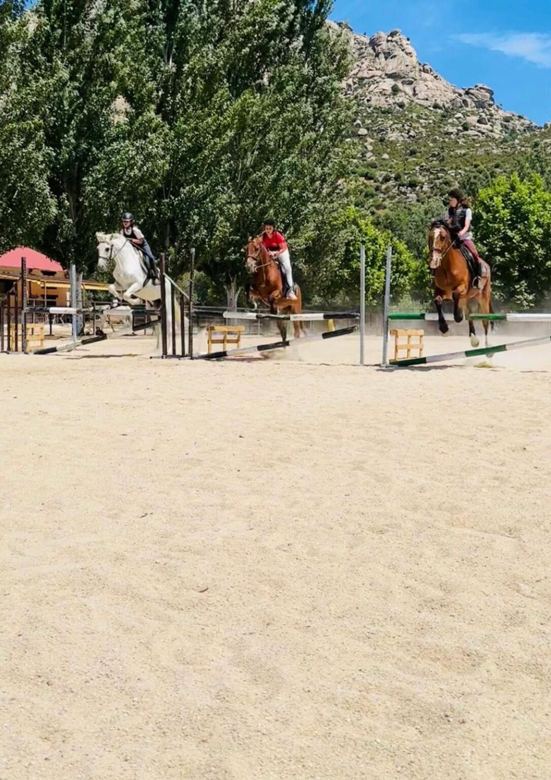 Nuestra propuesta es clara: clases de equitación con monitores titulados, caballos de escuela fiables y grupos reducidos, organizados por edad y nivel.
